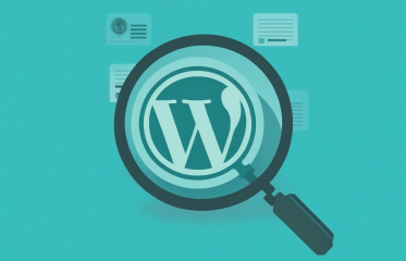/Blog Images/Compress Images/wordpress vs other cms-min-c.png