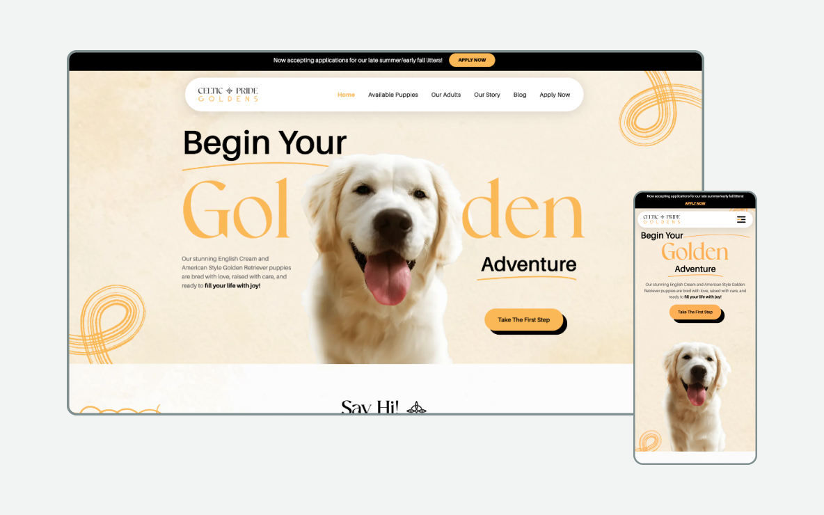 feature image